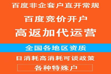 掌握开户高返点技巧：成功案例解读